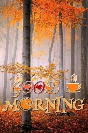 a20fc7c08f25be3cd86fdd8a0ee715de[1].jpg