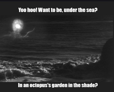 ocean floor.jpg