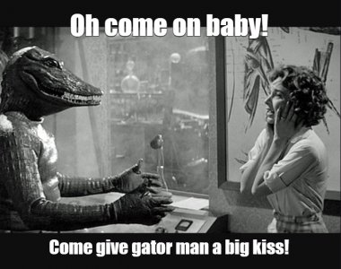 alligator.jpg