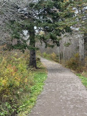 IMG_6688.jpeg