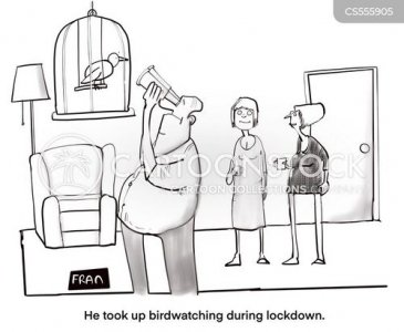 animals-lockdown-birdwatch-bird-ornithology-ornithology-CS555905_low.jpg