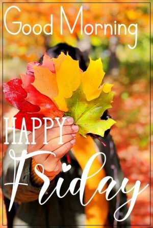 b0eca911f6967d655b6010c934e3c213[1].jpg