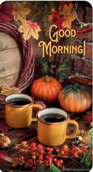 04c5275de84bd101b8cdd1762a97a821[1].jpg