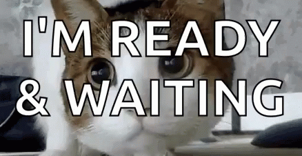 ready-waiting.gif