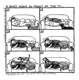 tv time.jpg