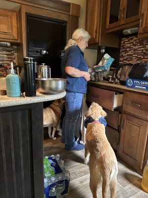 IMG_0453.jpeg