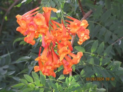 IMG_5744.JPG