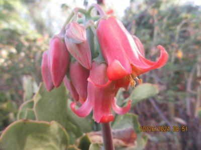IMG_5736.JPG