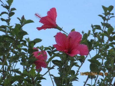 IMG_5702.JPG