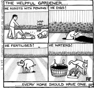 helper.jpg