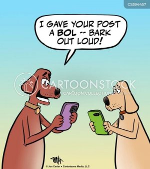 barkoutloud.jpg