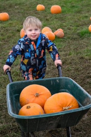 Greenlands Pumpkins 281023-34.jpg