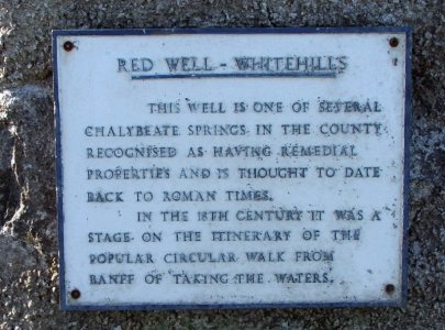 wellplate.jpg