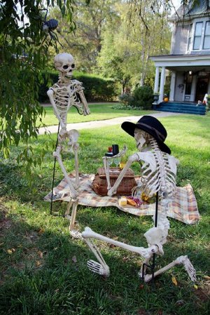skeletonproposal.jpg