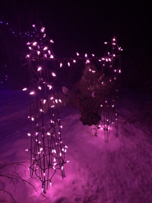 IMG_3388.jpeg