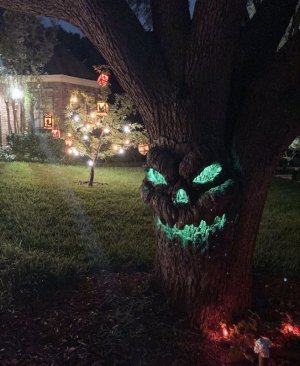 tree.jpg