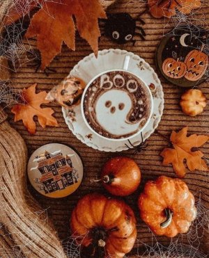autumn-aesthetic-238.jpg