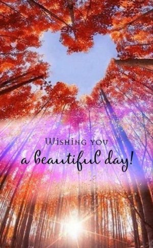 30edb58de54df12d26ab01387cc7fa57[1].jpg