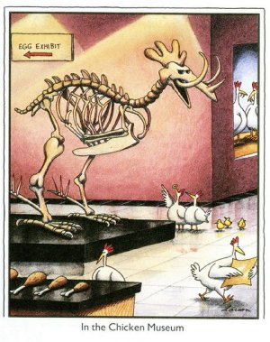 chickenmuseum.jpg