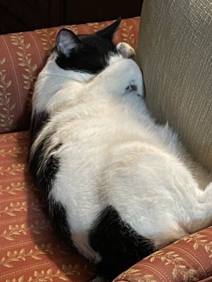 IMG_1613.jpeg