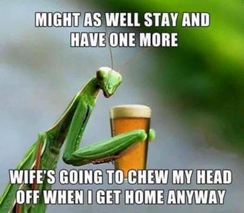 IMG_9296.jpeg