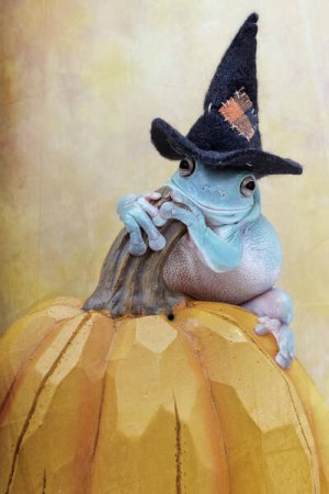froggyhall.jpg