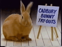 bunny-easter.gif