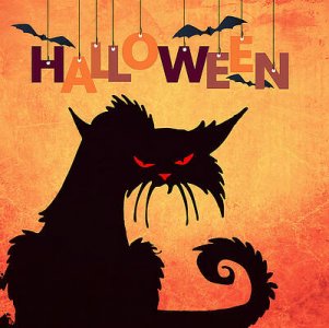 happy-halloween-scene-with-black-cat-and-bats-halloween-mounir-khalfouf.jpg