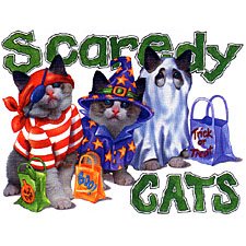 scaredy cats.jpg