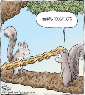 What's %22Costco%22?.jpg