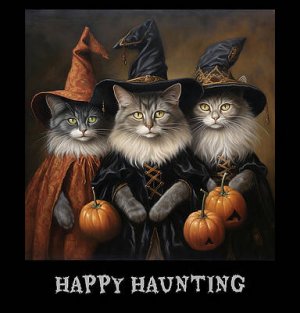 happy-haunting-mounir-khalfouf.jpg