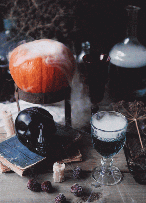 tumblr_6f420d818d3fbe2ecb939a3fa001c923_fcc104e2_540.gif