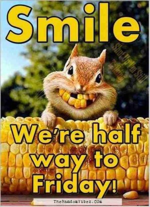 7bb5b650d06f66fc99c50415c878f4d7[1].jpg
