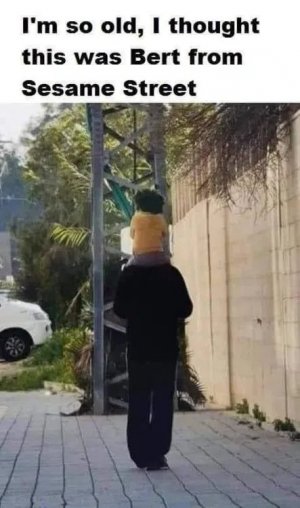 Bert.jpg