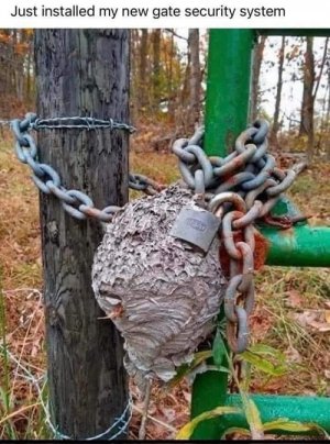 security system.jpg