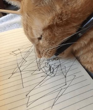 catscribble.jpg