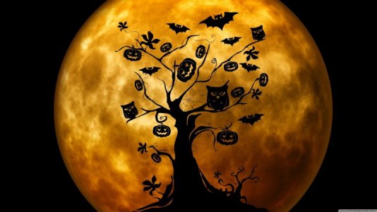 cute-halloween-pictures-h3hzhqtq5fhknz6v.jpg