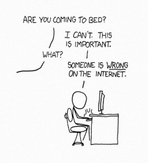 someone-is-wrong-on-the-internet-larger.jpeg