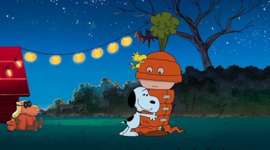 charlie-brown-carrot-halloween-costume.jpg