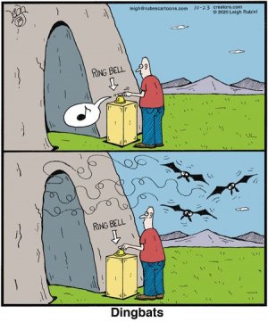 dingbats.jpg