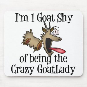 goats3.jpg