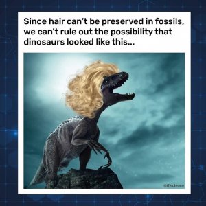 hair fossil.jpg