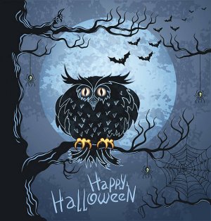 owlhallow.jpg