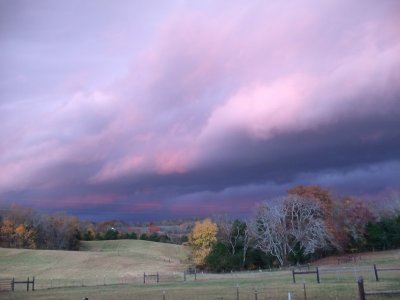 IMG_4194.jpeg