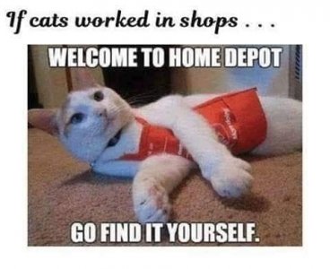 home.jpg