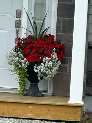 IMG_5148.jpeg