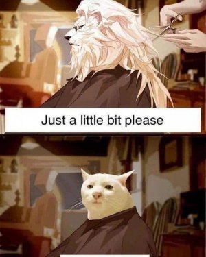 FB_IMG_1730516158822.jpg