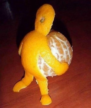 Orange At Work.jpg