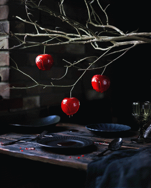 tumblr_bc68dda9795ea242d12ecc756fb63213_5cace1b3_540.gif.gif
