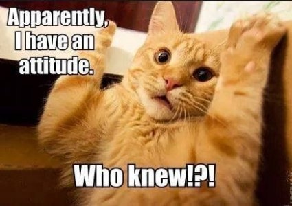 attitude.jpg